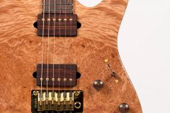 Suhr_2015_Collection_16